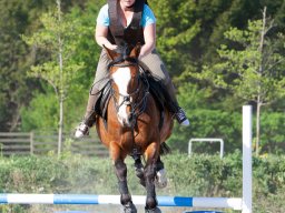 IMG_0675_web